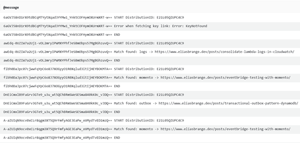 CloudFront function logs.